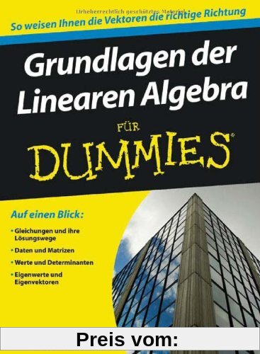 Grundlagen der Linearen Algebra für Dummies